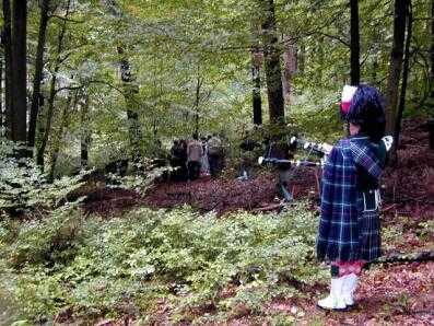 Friedwald in Michelstadt im Odenwald